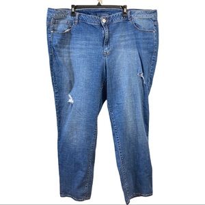 Venezia Lane Bryant Distressed Jeans